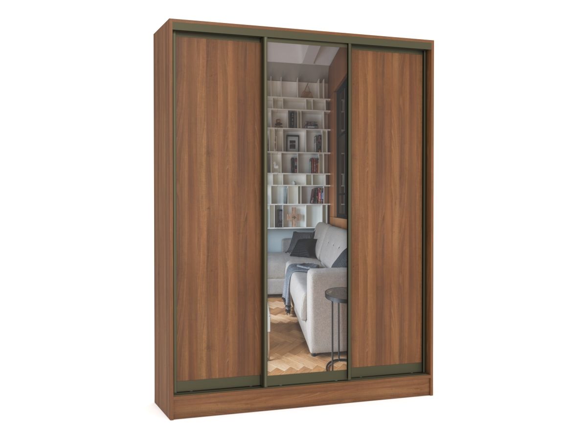 Шкаф-купе Далия 3 Шкаф-купе Далия 3