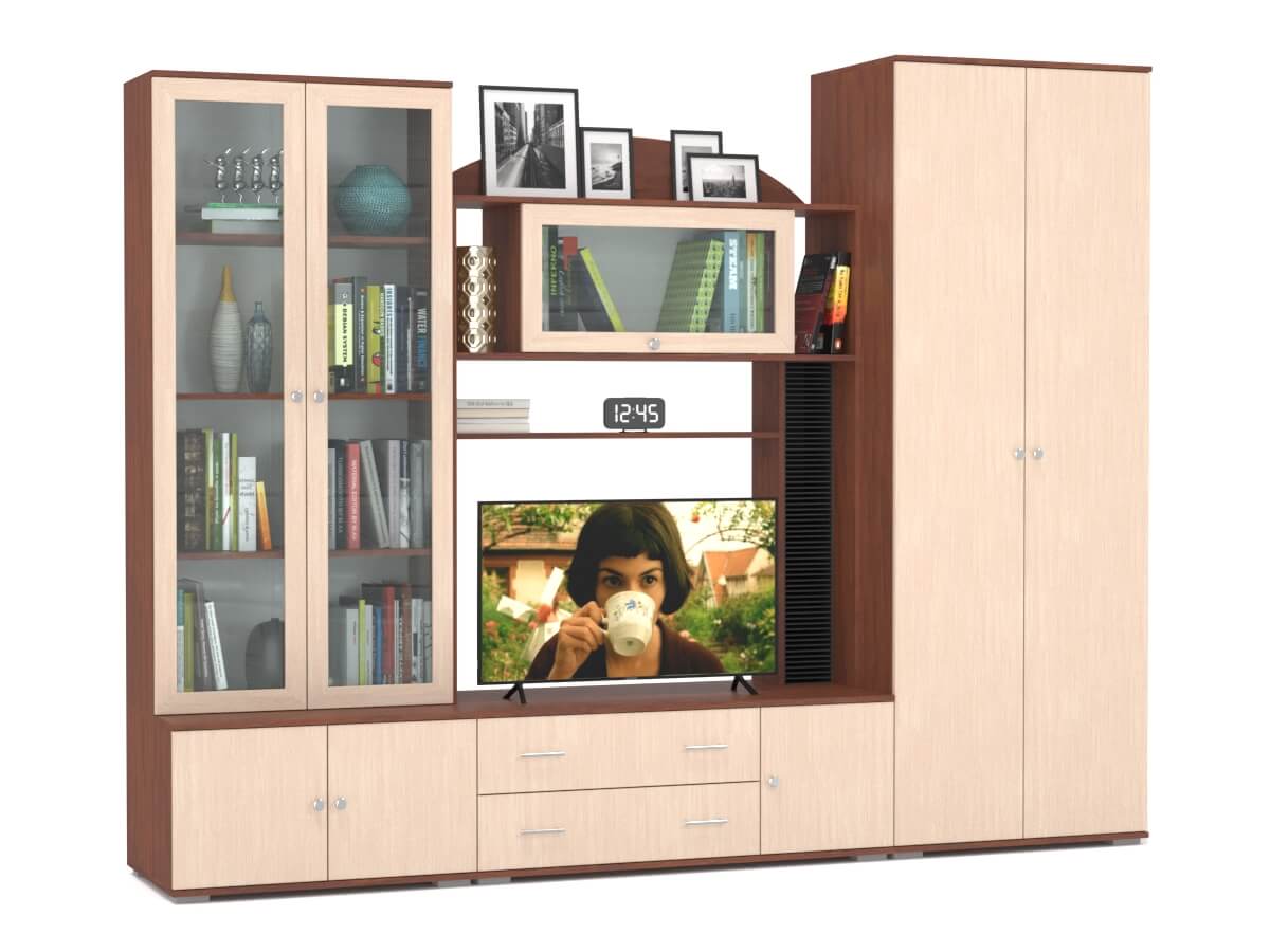 Стенка Валентина 6