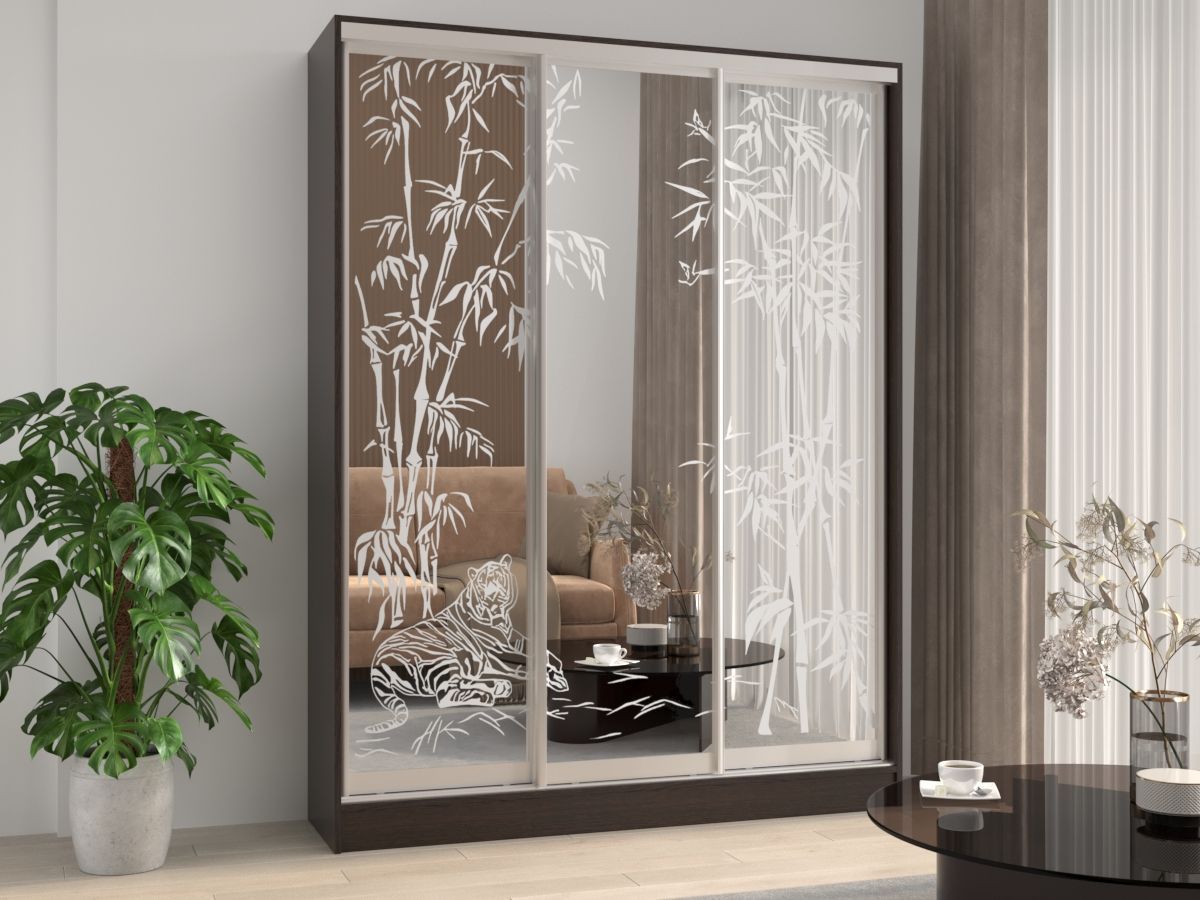 Шкаф-купе Лагуна 6 Шкаф-купе Лагуна 6