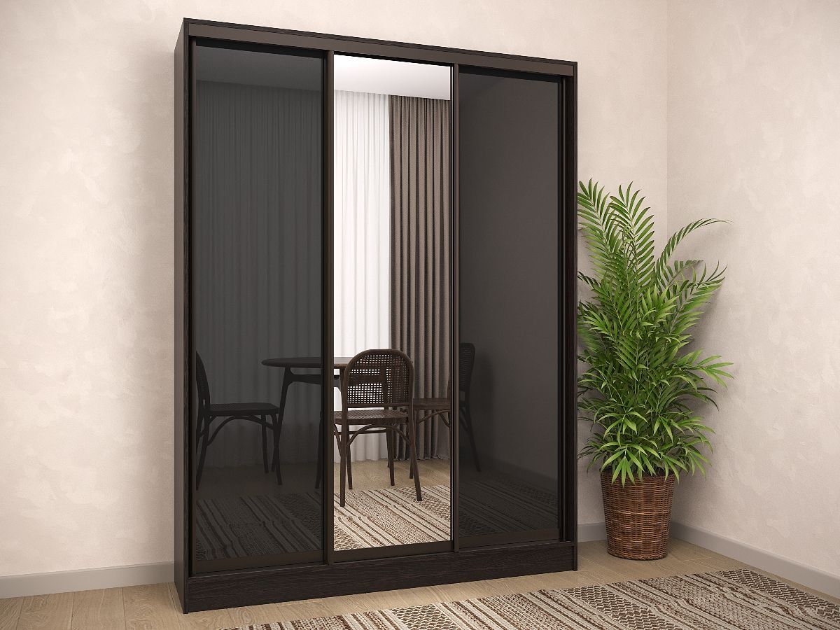 Шкаф-купе Титан 1