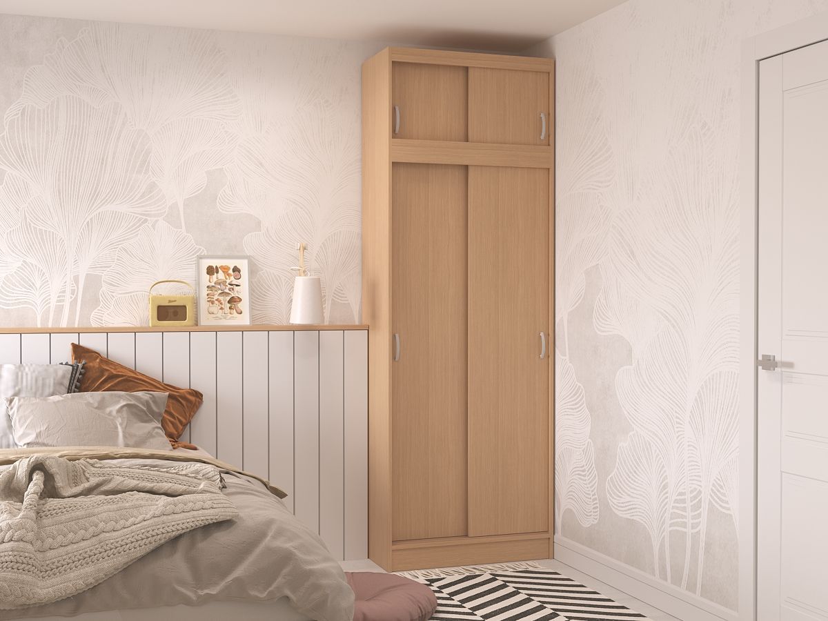 Шкаф-купе Сакура 24