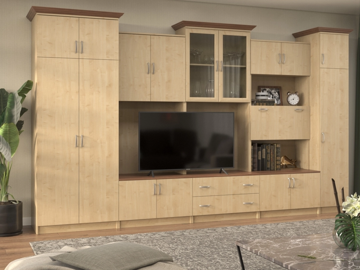 Стенка Композиция 10